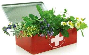 Top Ten Benefits of Herbal Medicine